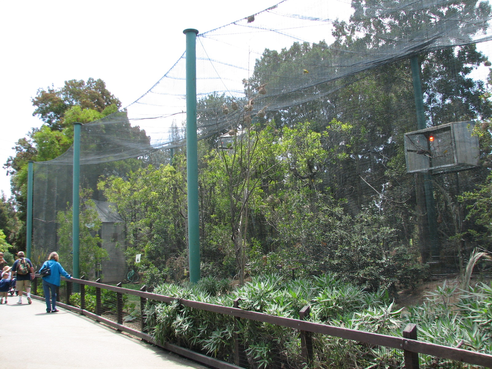 Large African Aviary