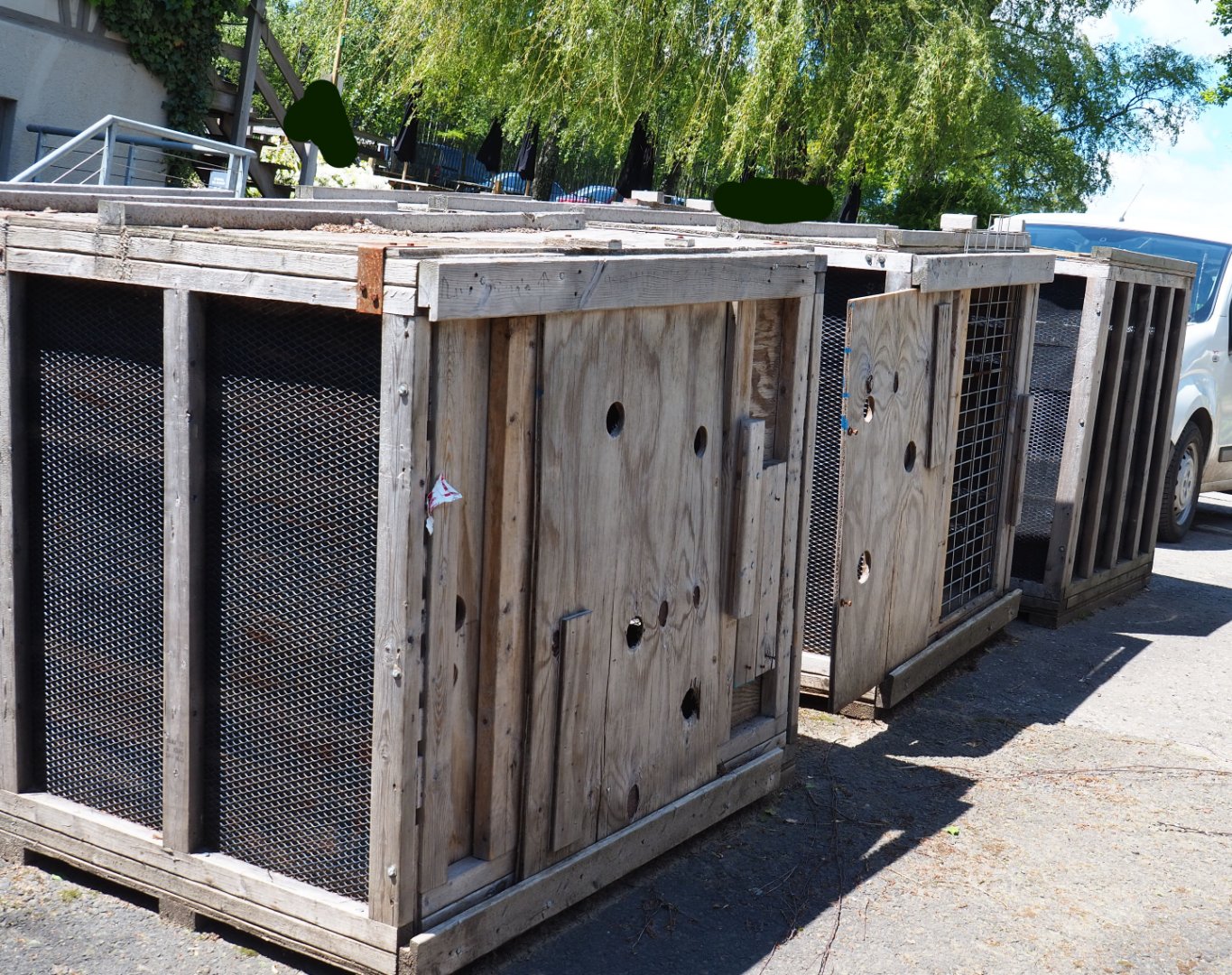 Large animal transport crates, 2021-05-29