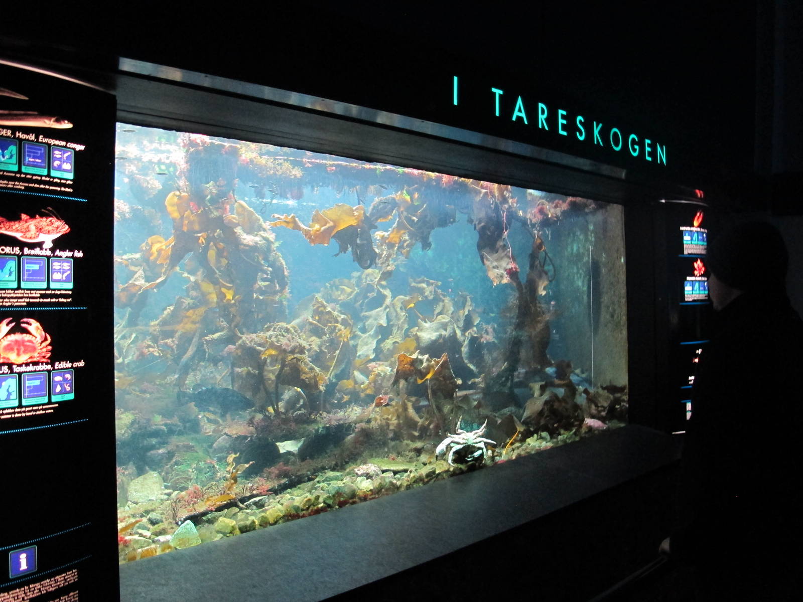 Large Aquarium - Bergen Akvariet 2012