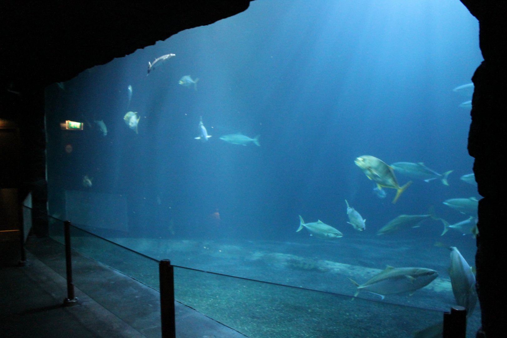 Large Aquarium