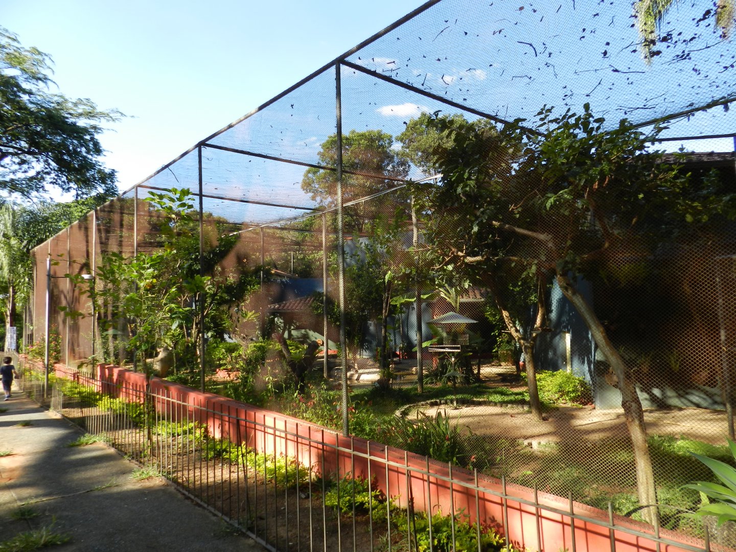 Large aviary - Belo Horizonte zoo