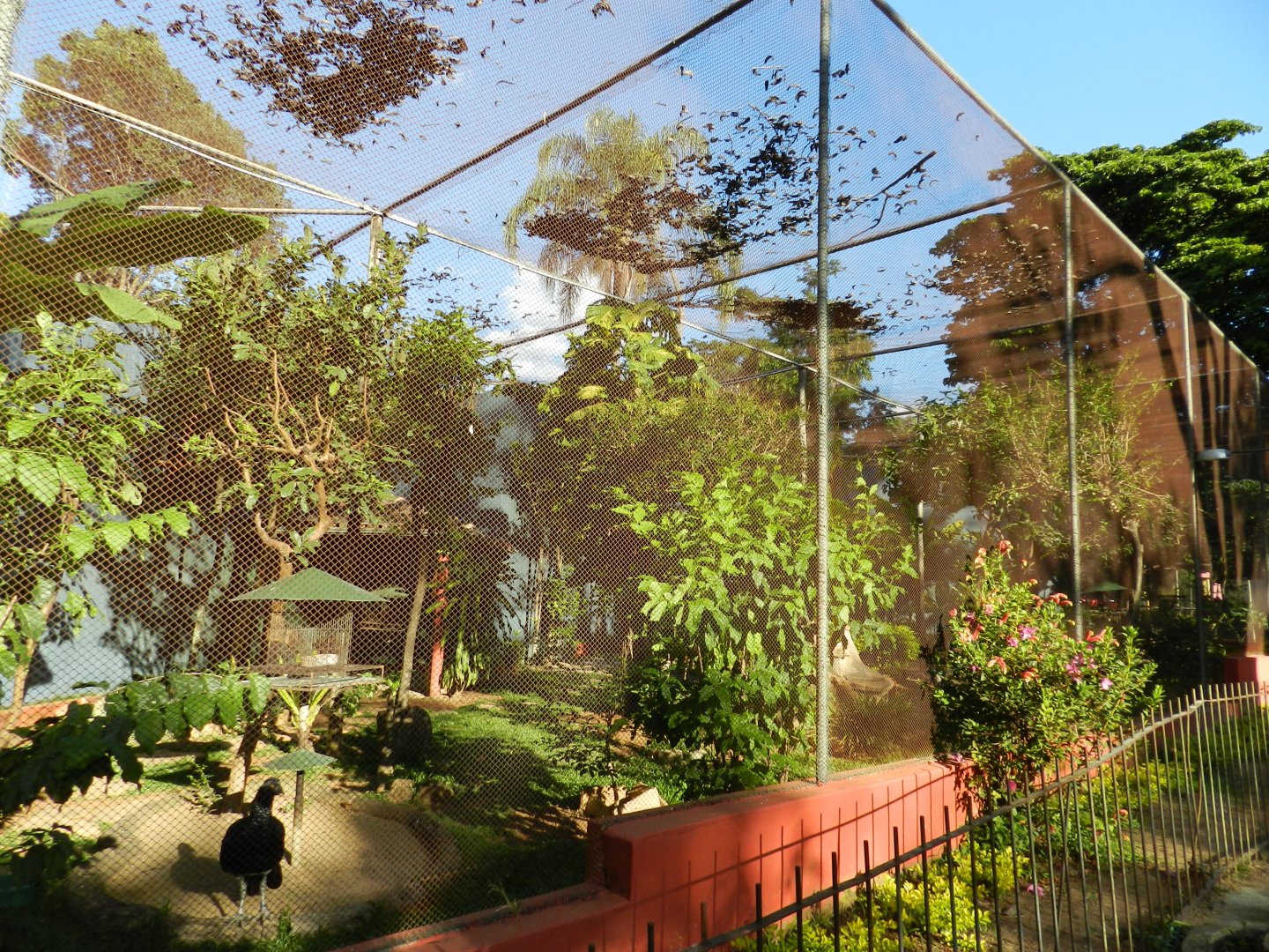 Large aviary - Belo Horizonte zoo