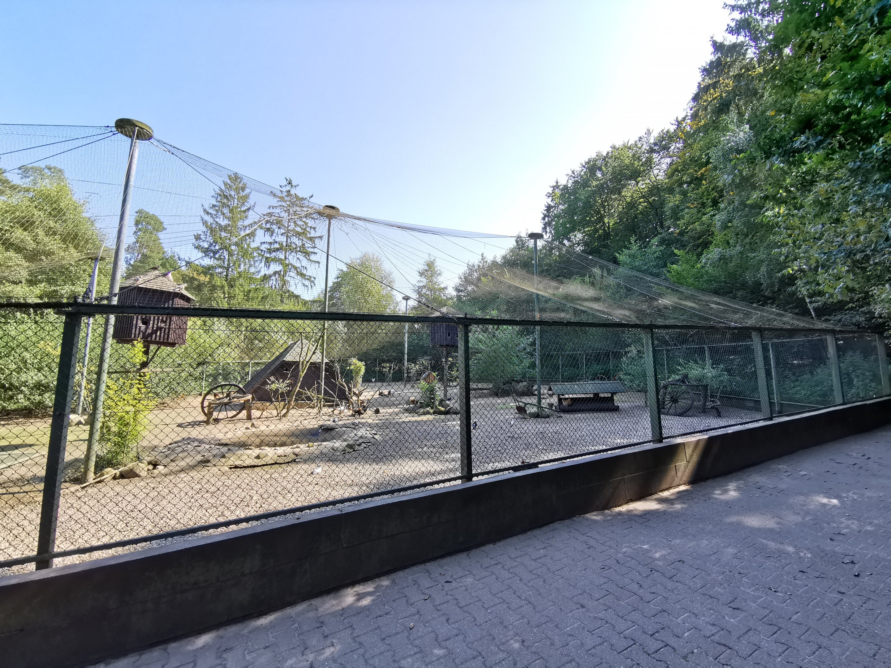 Large aviary (Chickens, ducks, pigeons and pheasants)