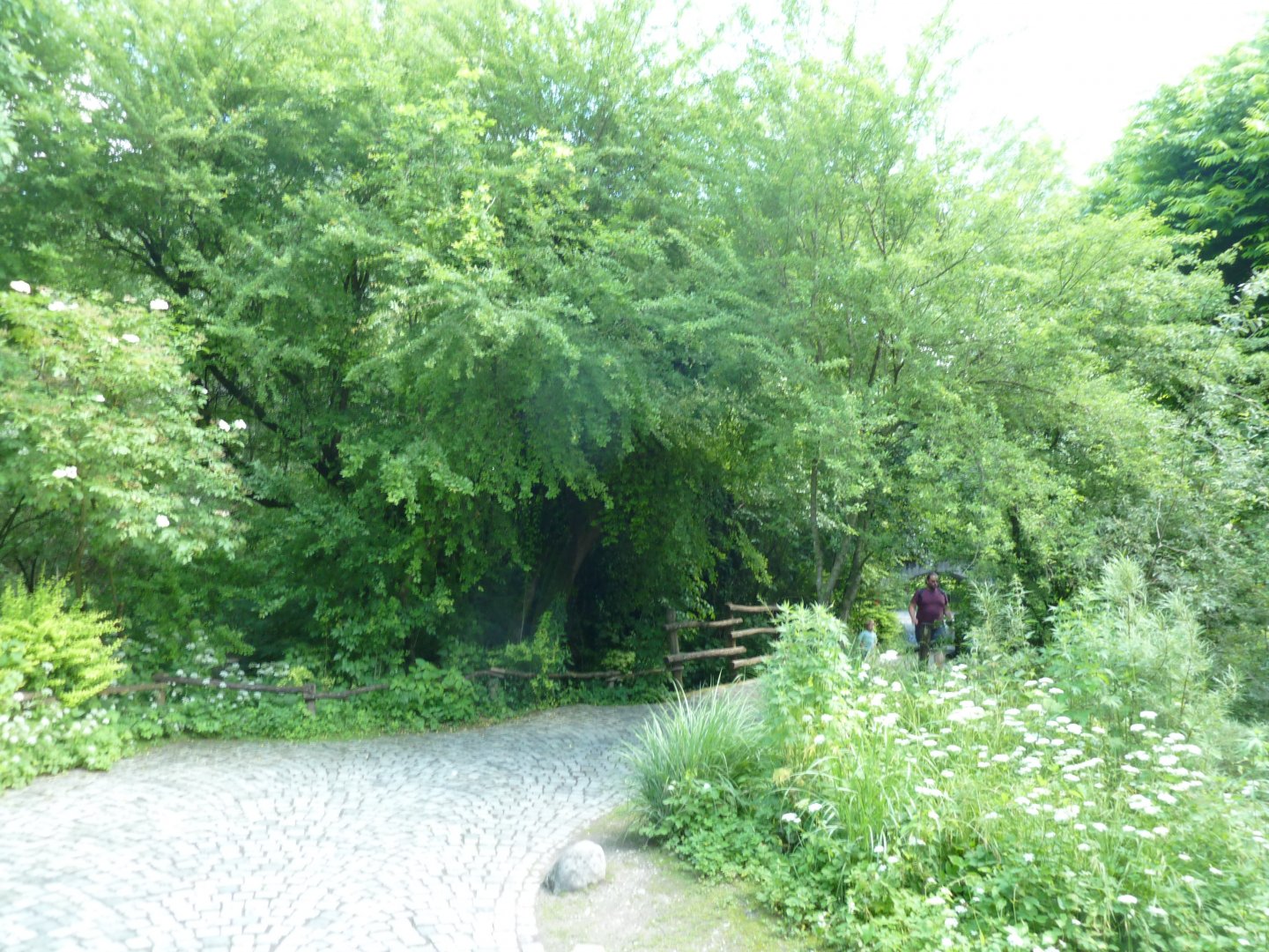 Large aviary - General view towards exit
