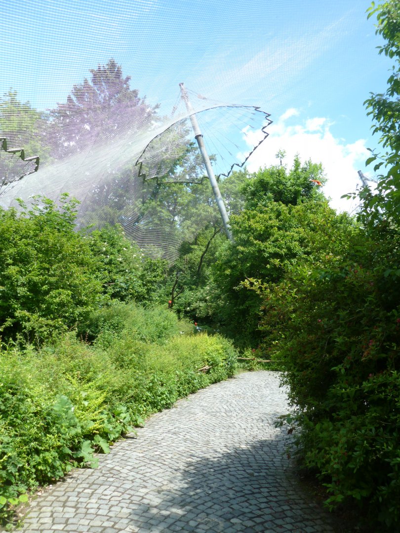 Large aviary - General view