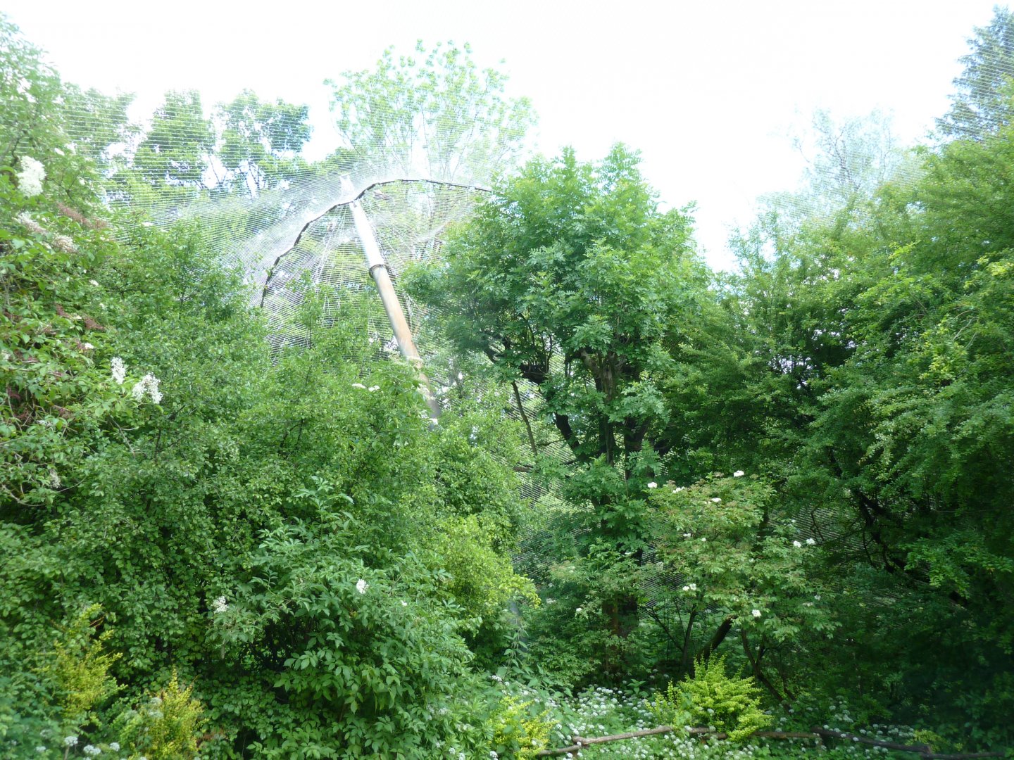 Large aviary - General view