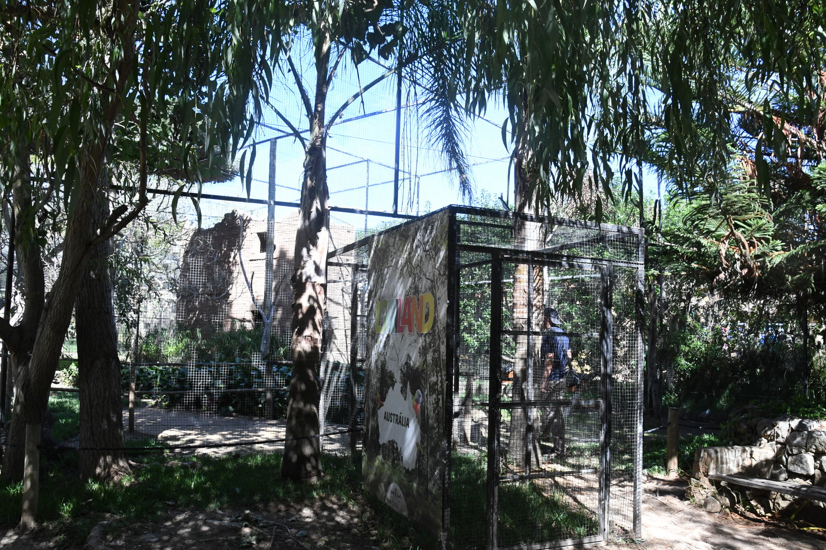 Large Aviary (Lorikeets, etc.)