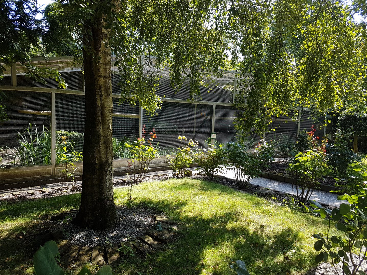 Large aviary ( macaws )