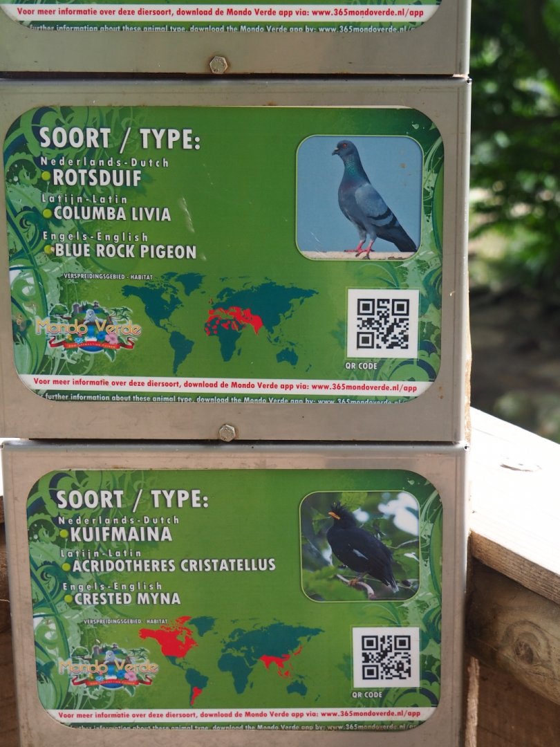 Large aviary signs -  Pigeon and myna (Aug 28th, 2018)
