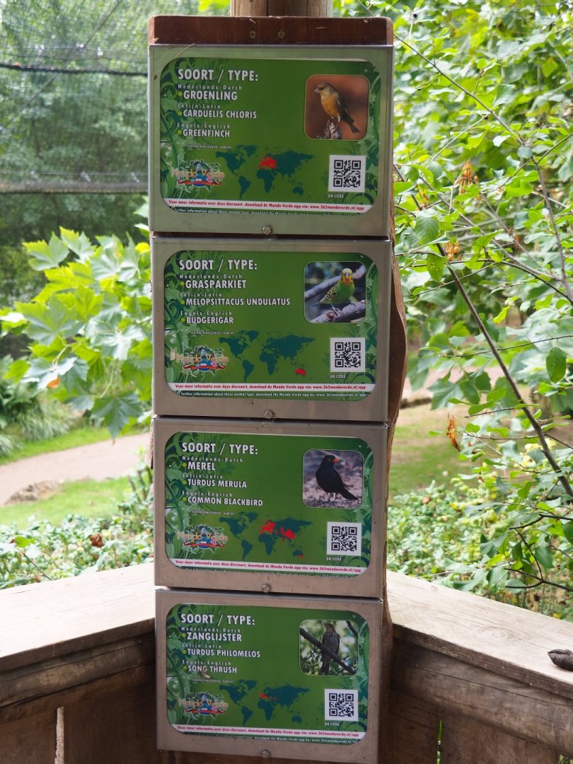 Large aviary signs - Small birds (Aug 28th, 2018)