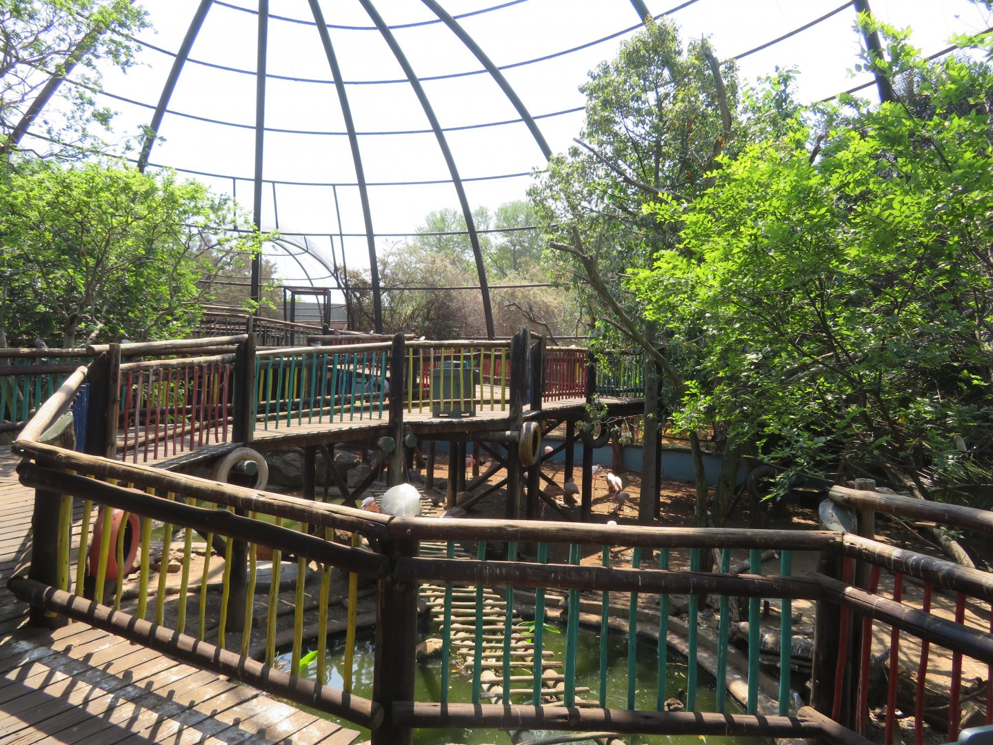 Large Aviary View
