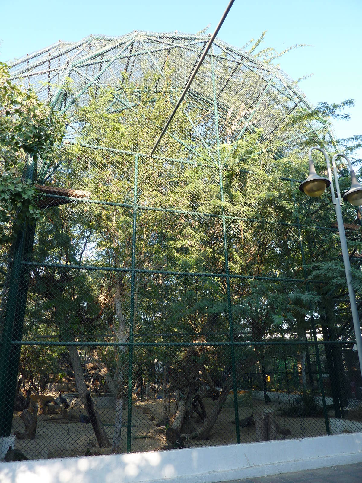 Large aviary