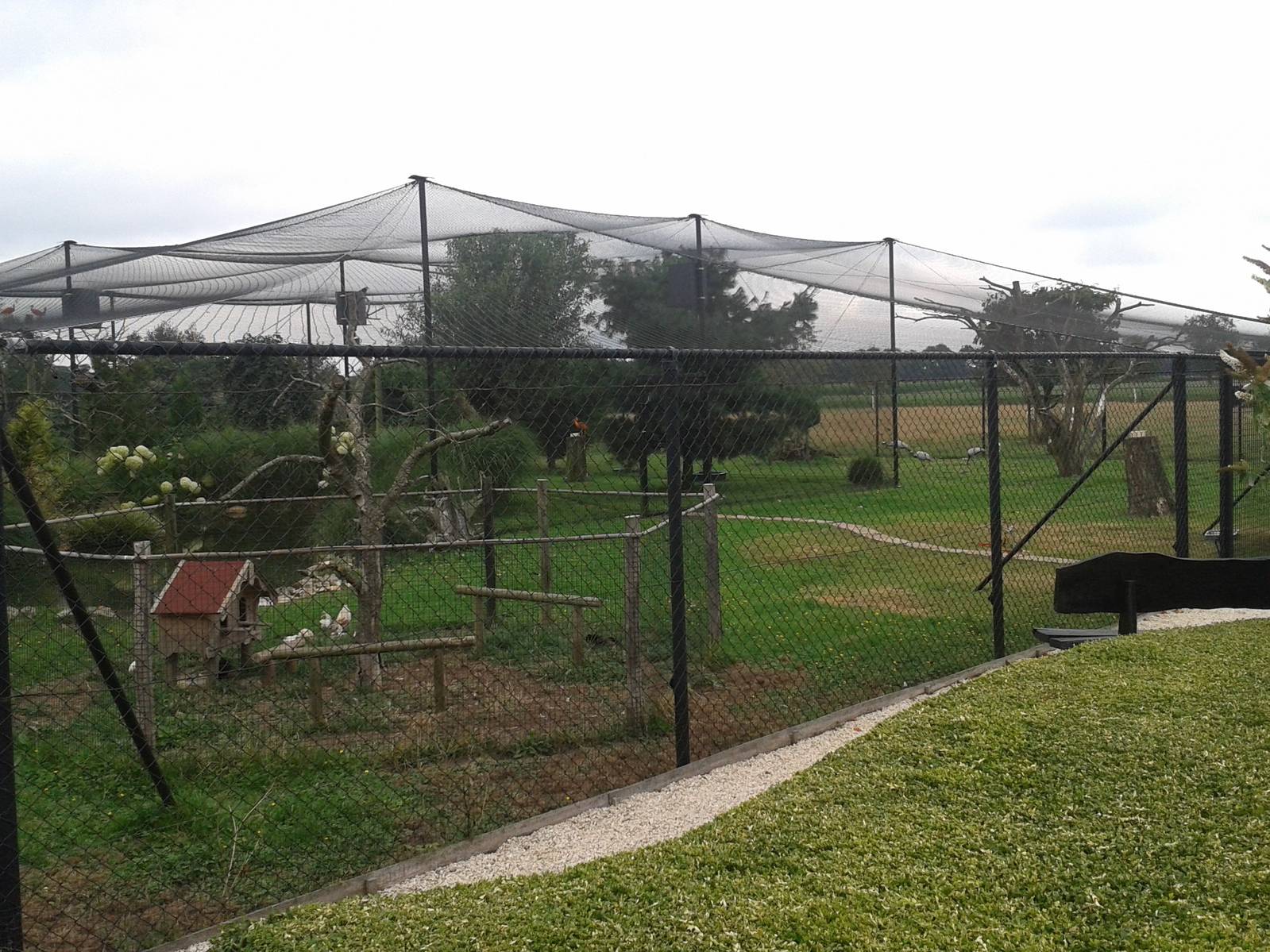 Large aviary