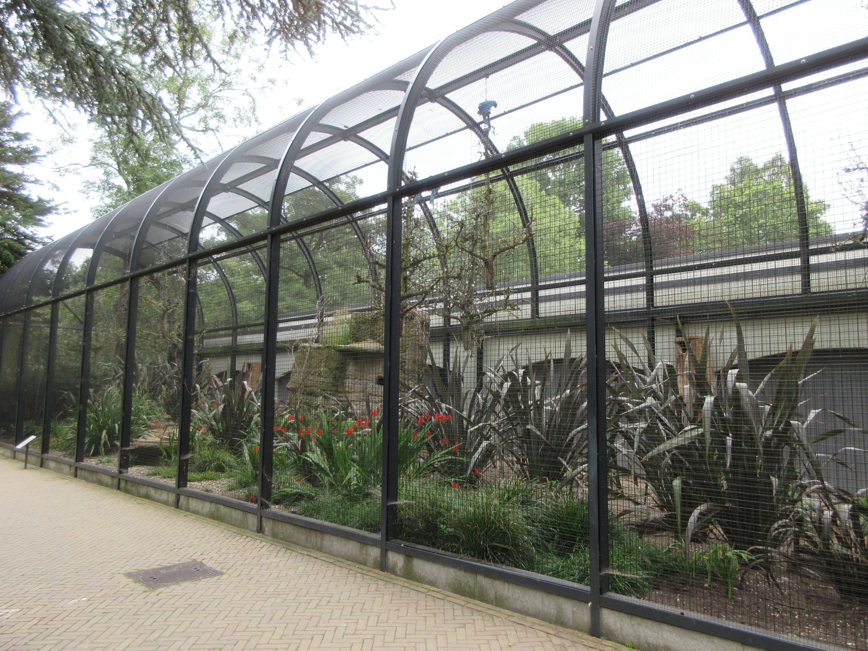 Large Aviary