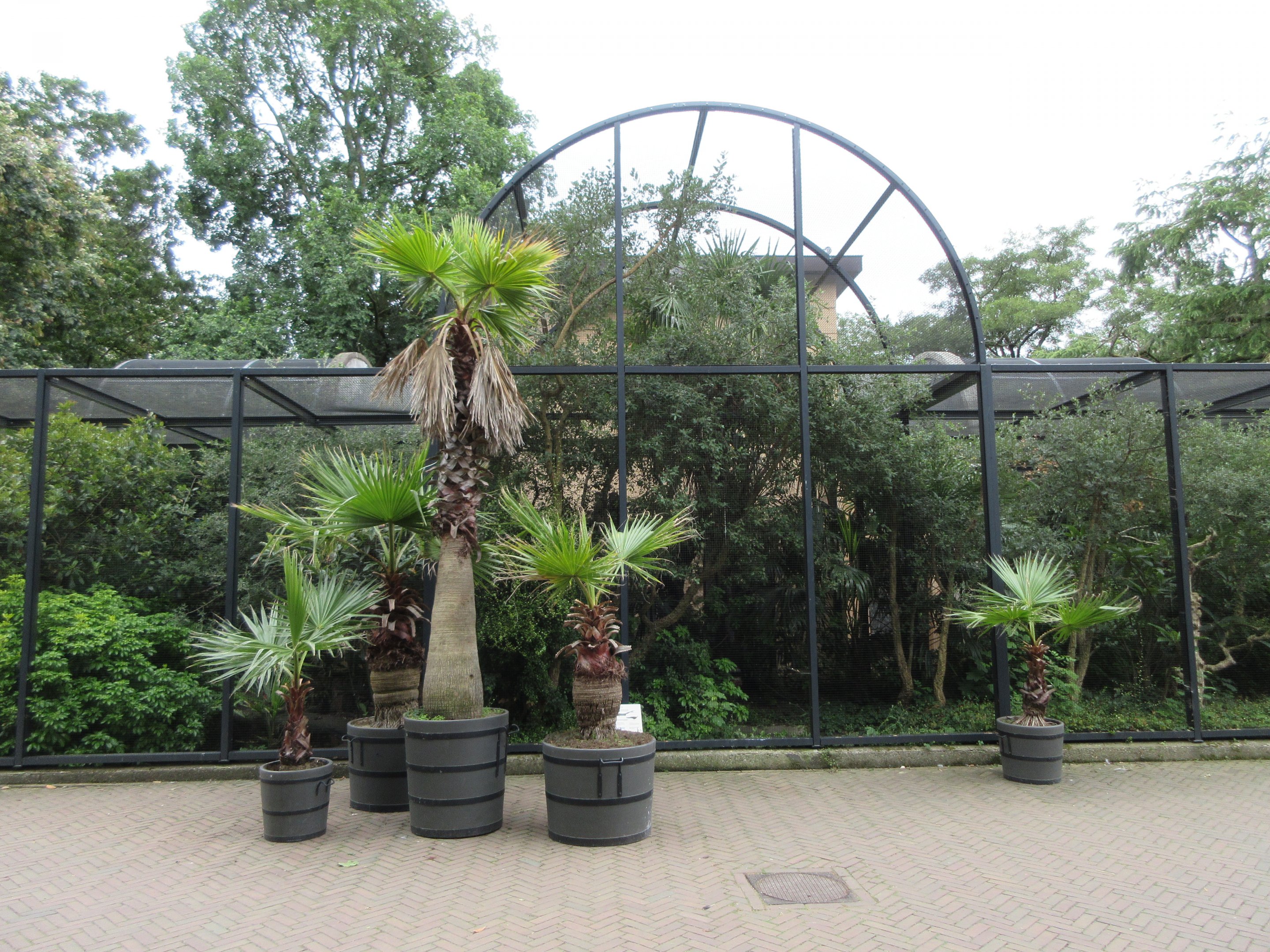 Large Aviary