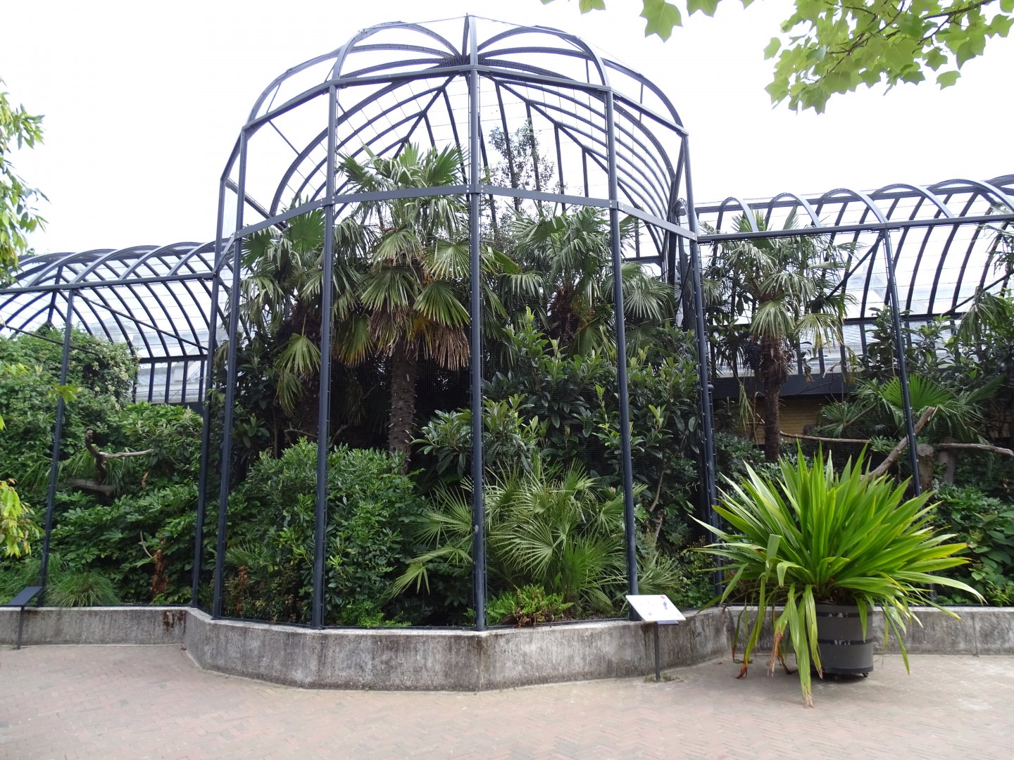 Large aviary