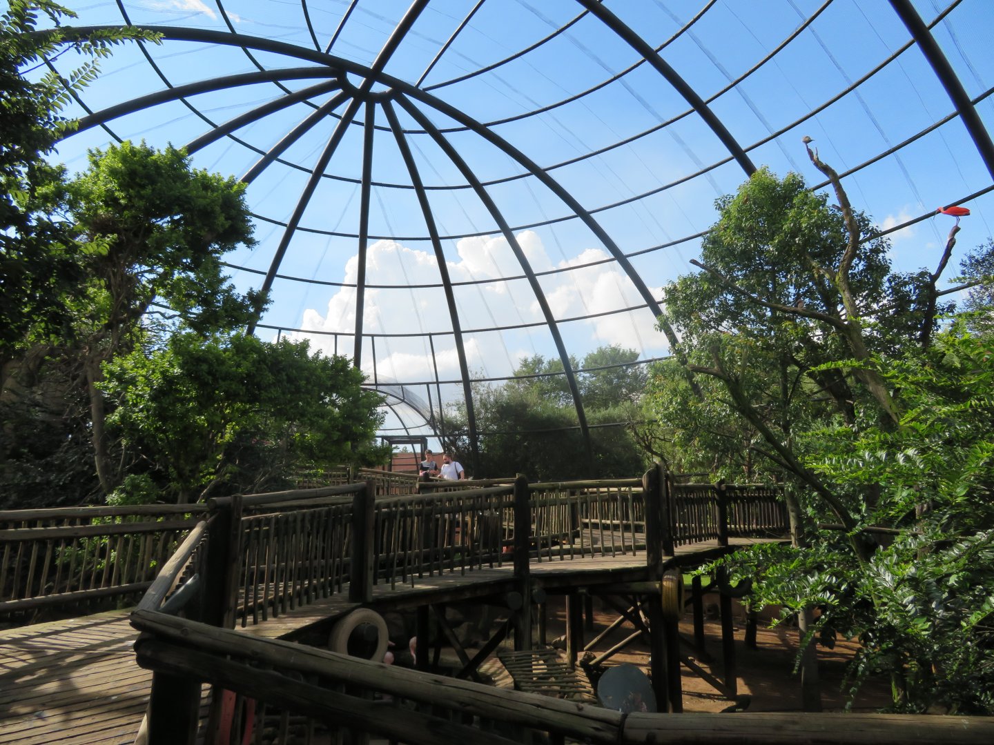 Large Aviary