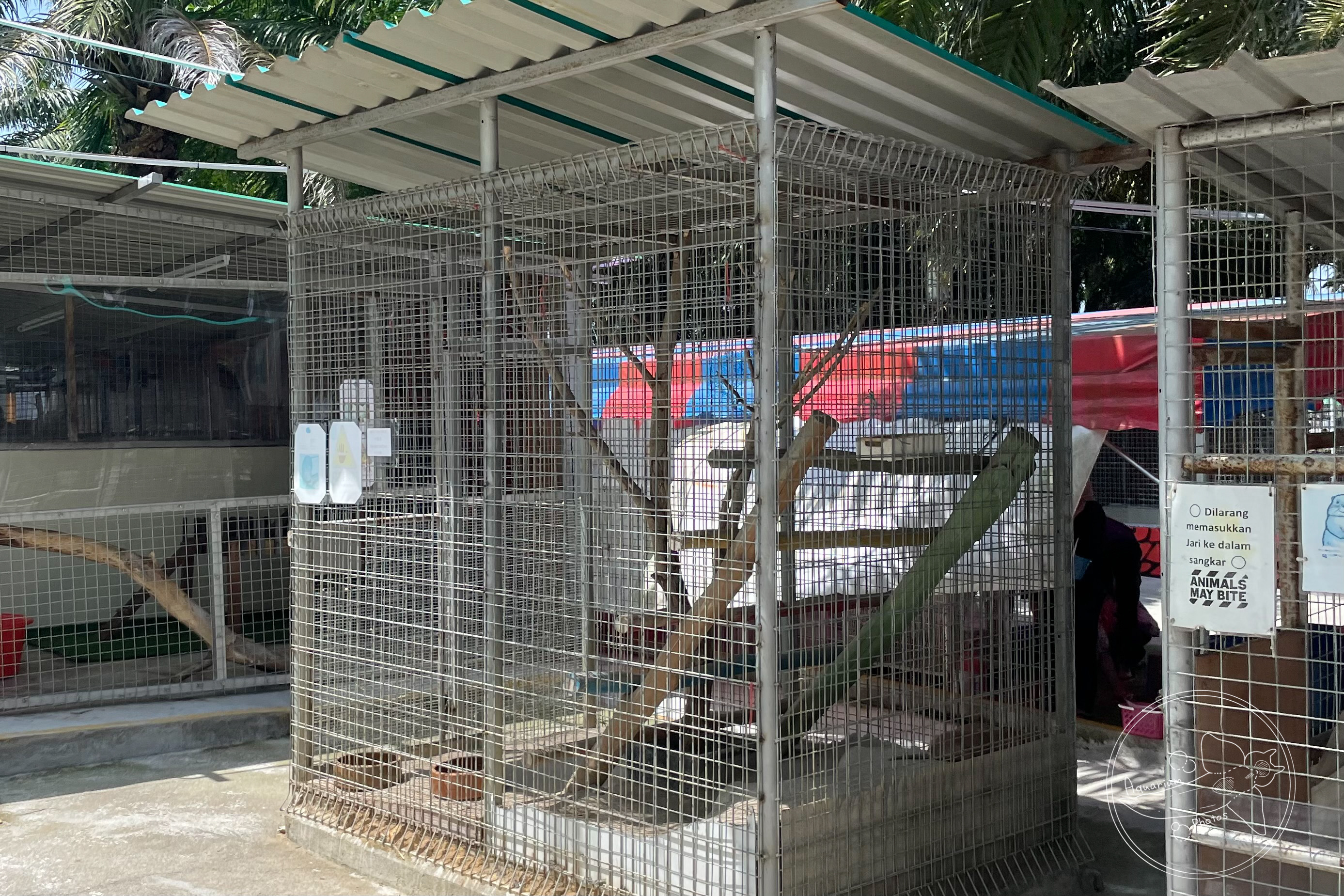 Large Bamboo Rat Enclosure