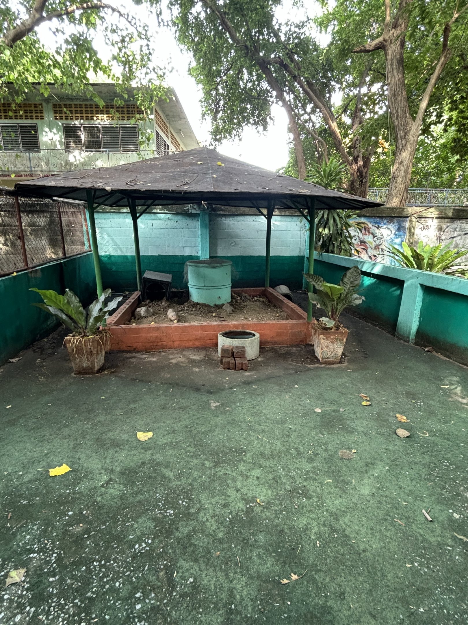 Large Bamboo Rat Exhibit - Lopburi Zoo