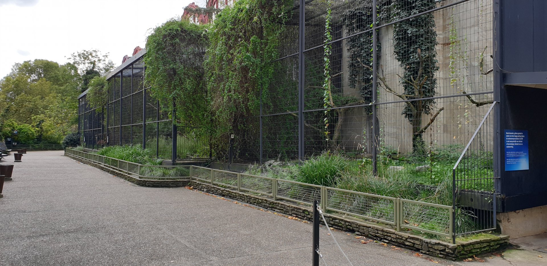 Large Bird of prey aviaries