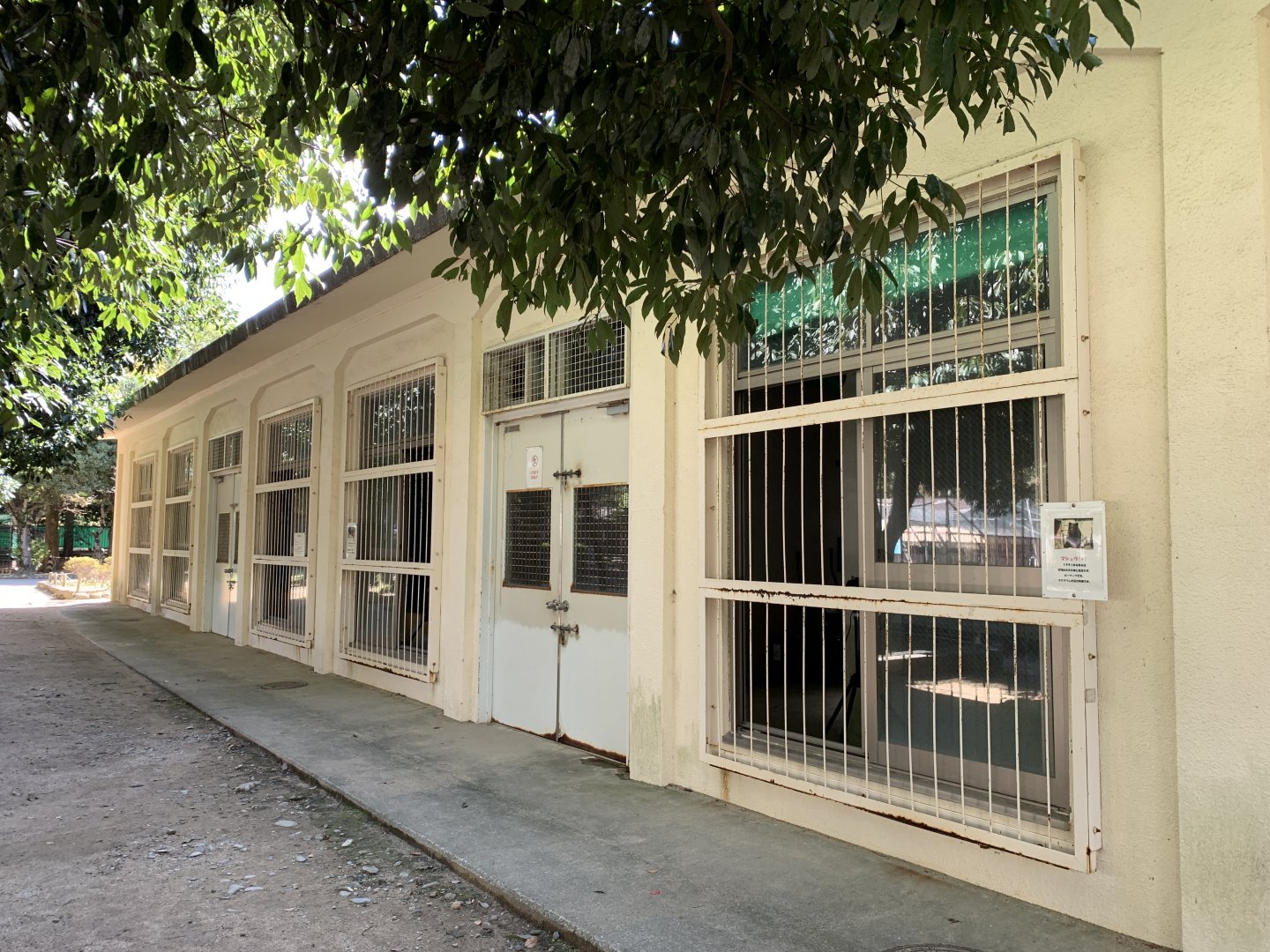 Large Carnivore Night Quarters Viewing (Himeji City Zoo)