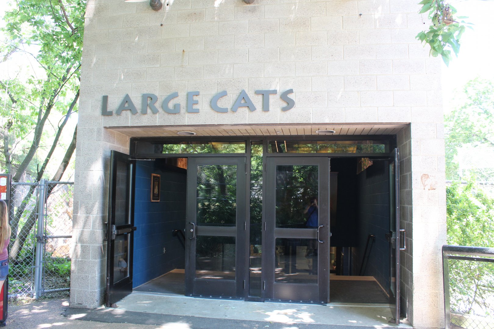 Large Cat Building Entrance