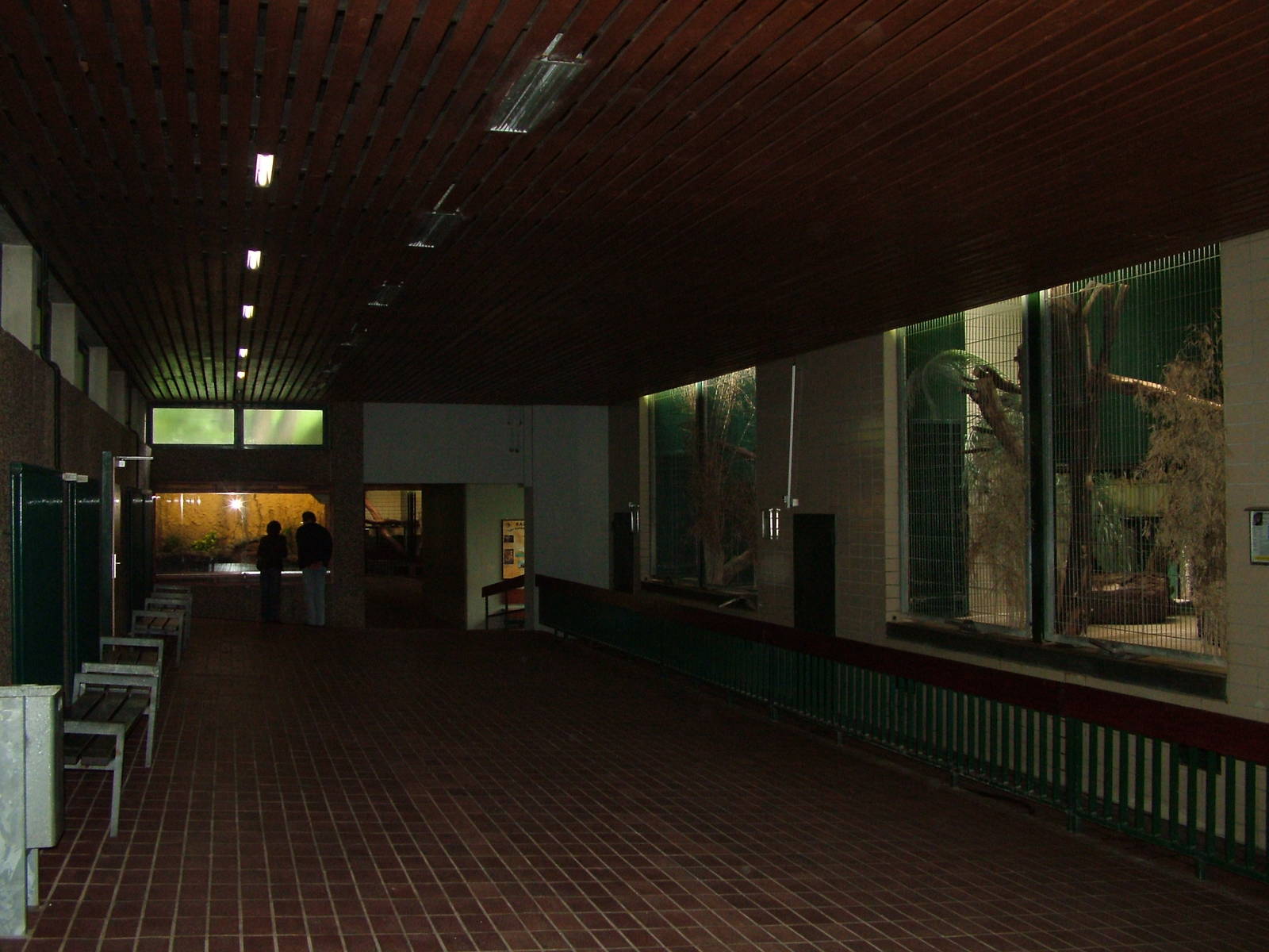 Large Cat House at Wuppertal 13/05/09