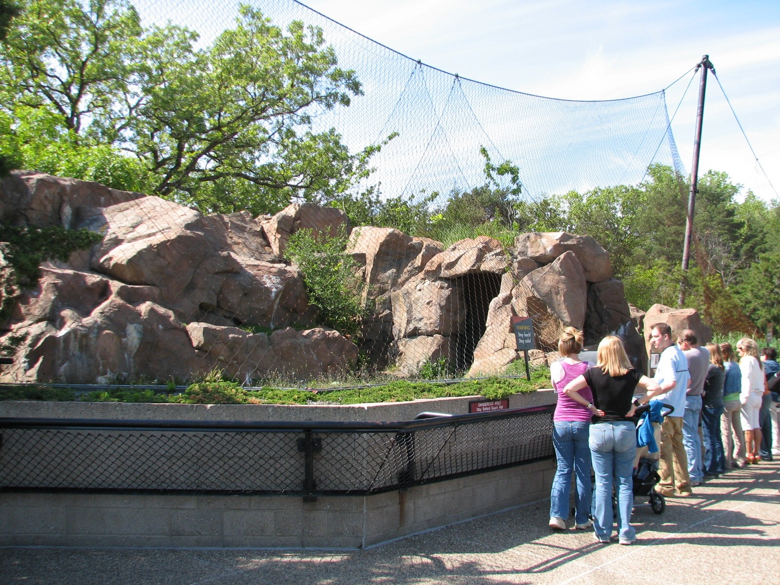Large Cats - Cougar Exhibit