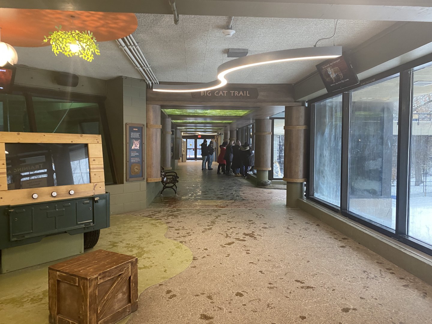 Large Cats - Hallway