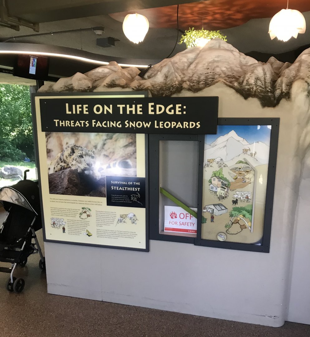 Large Cats- interpretive display