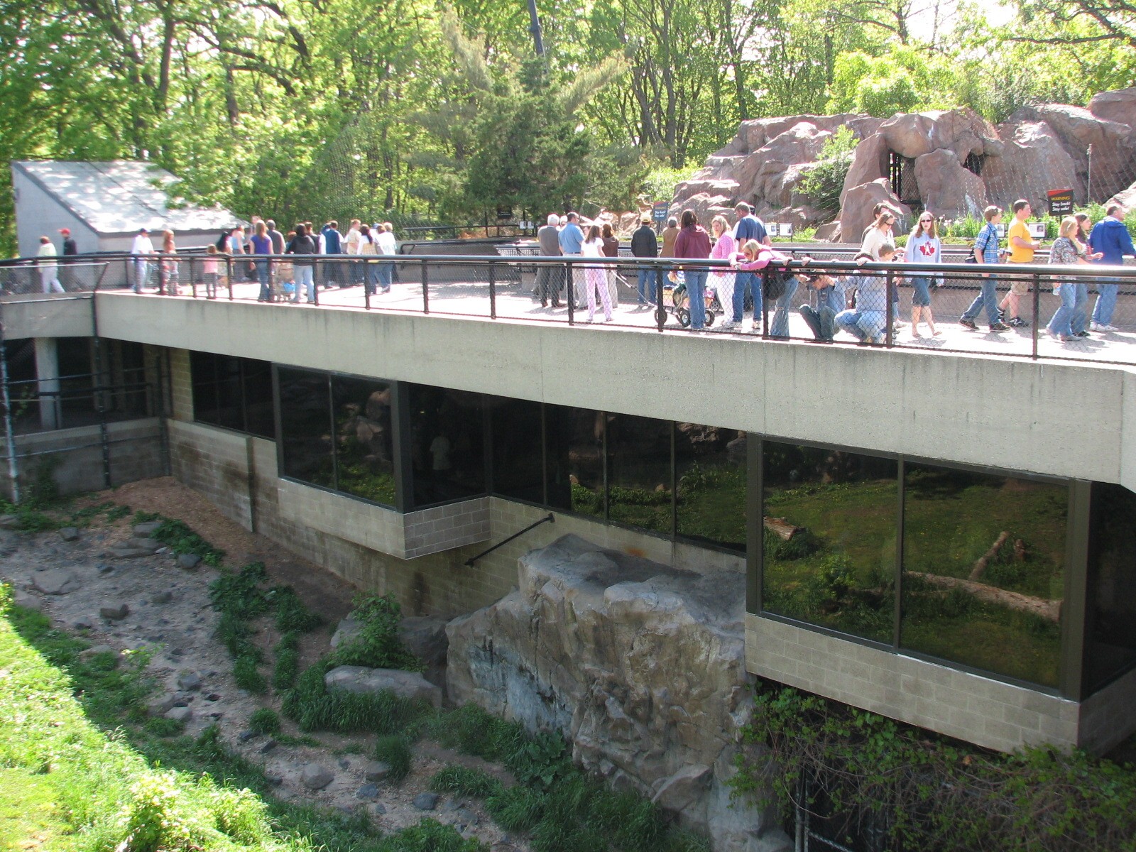 Large Cats - Siberian Tiger Exhibit Viewing Areas