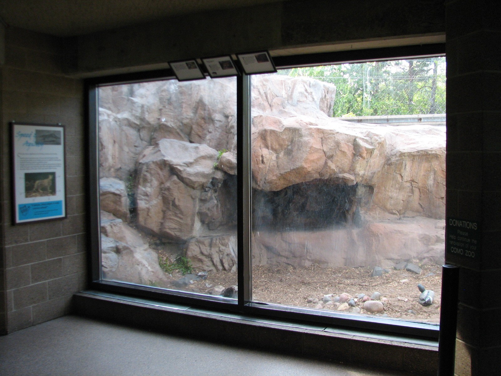 Large Cats - Snow Leopard Exhibit