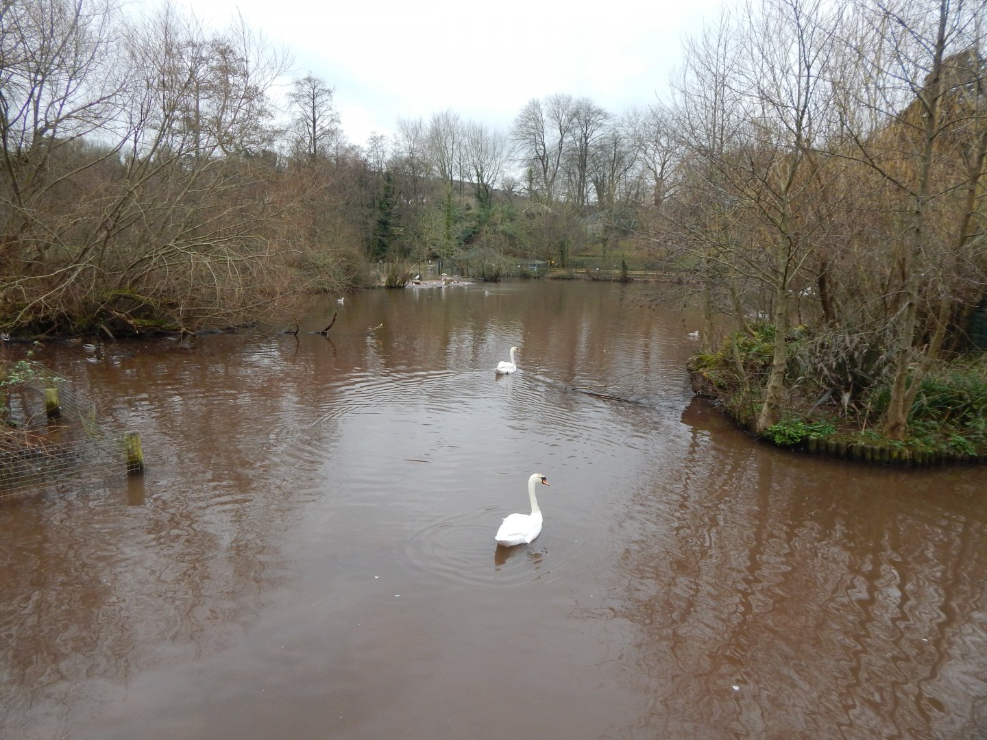 Large central lake 050224