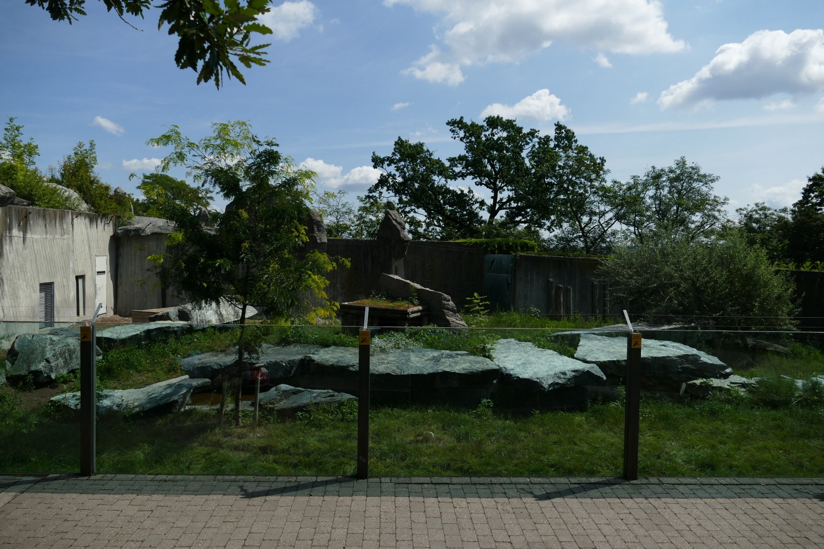 Large Cheetah Enclosure