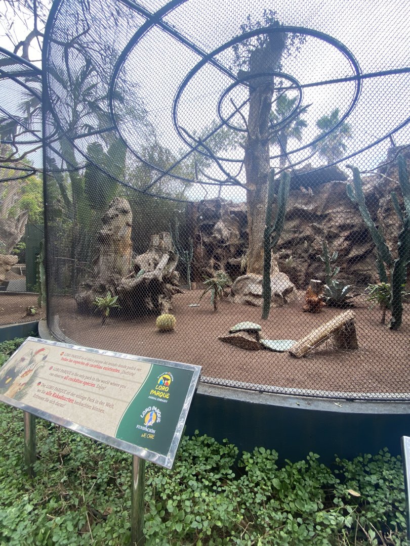 Large Cockatoo aviary