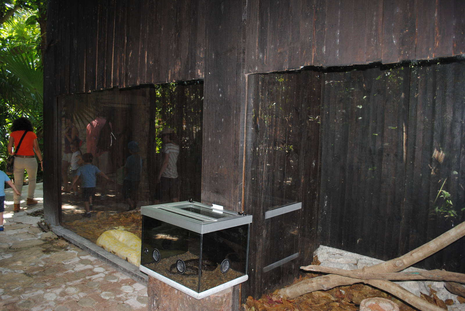 Large Constrictors terrariums