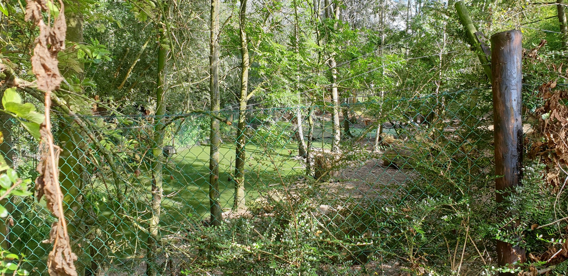 Large Crane - Muntjac - ( water ) fowl enclosure