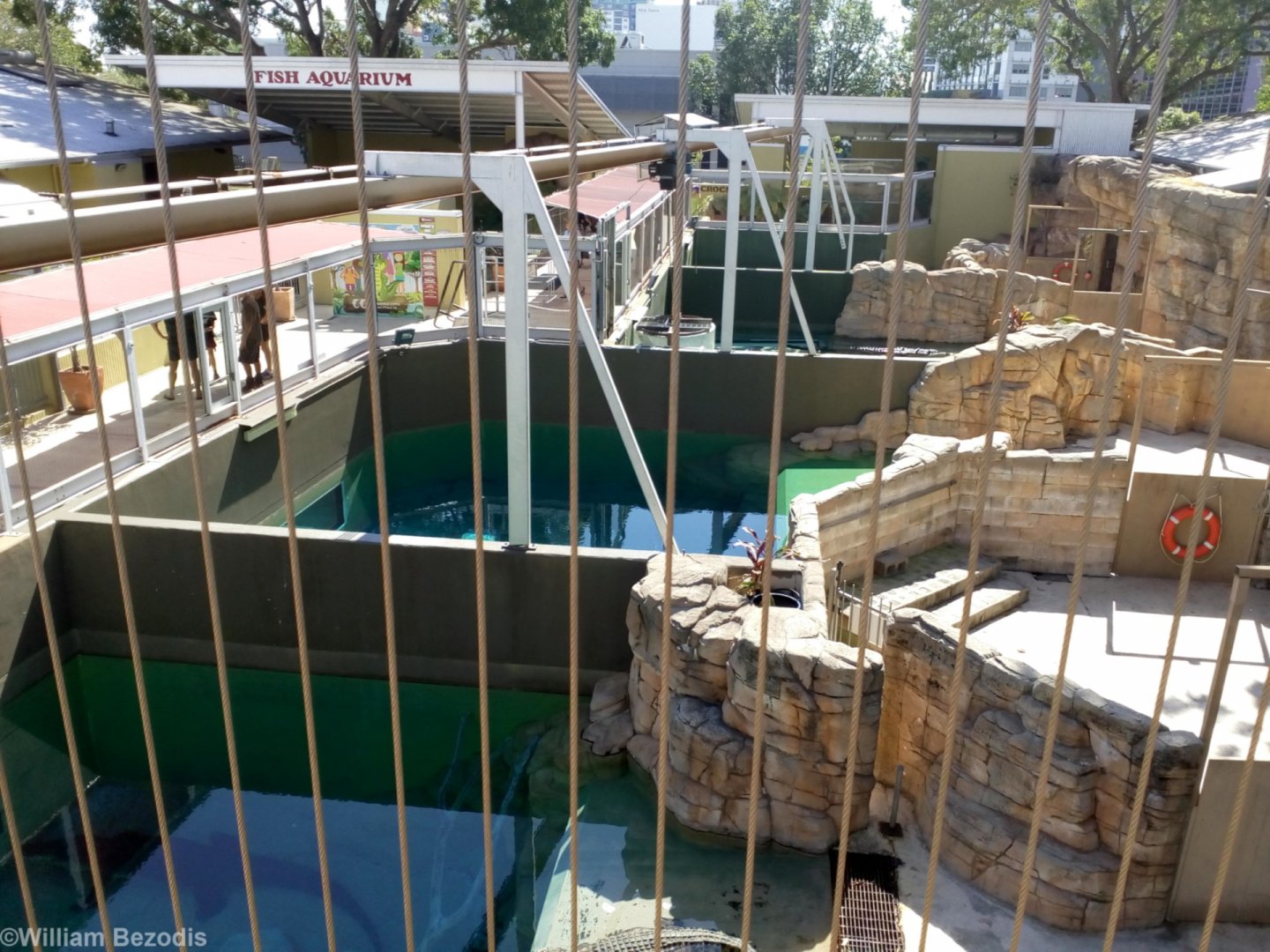 Large Croc Enclosures from Above