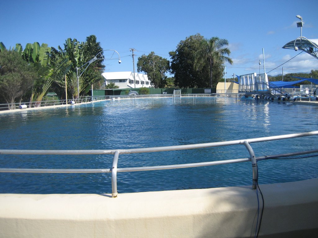 Large Dolphin Pool