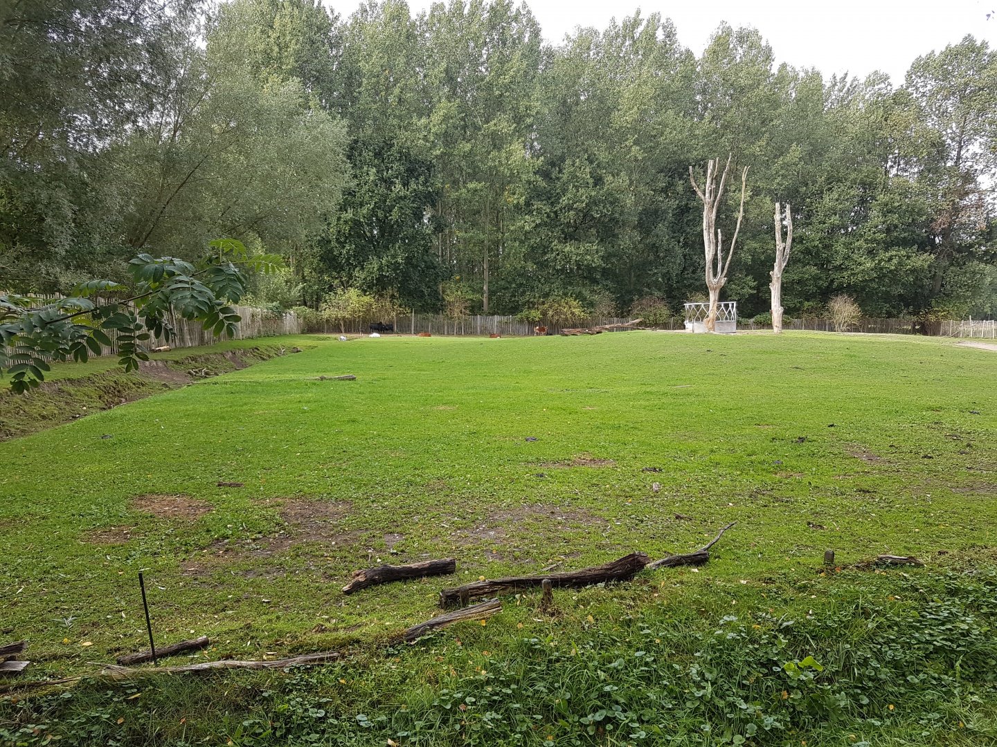 Large Donkey - Zebu enclosure