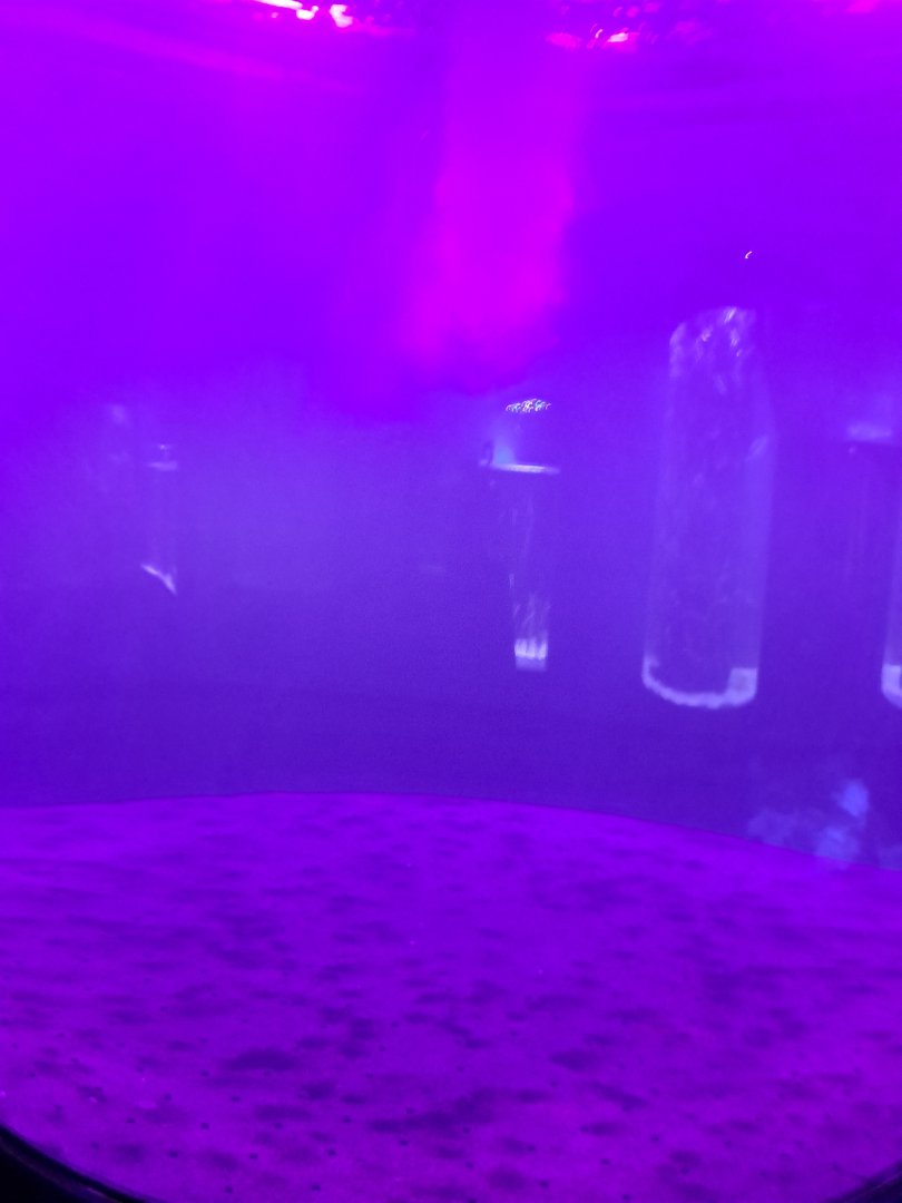 Large empty tank (4/19/25)