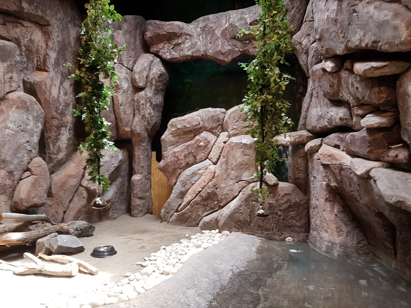 Large enclosure within the "tropical center"