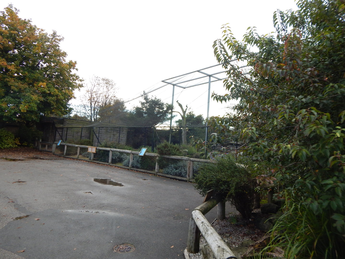 Large European aviary 221022