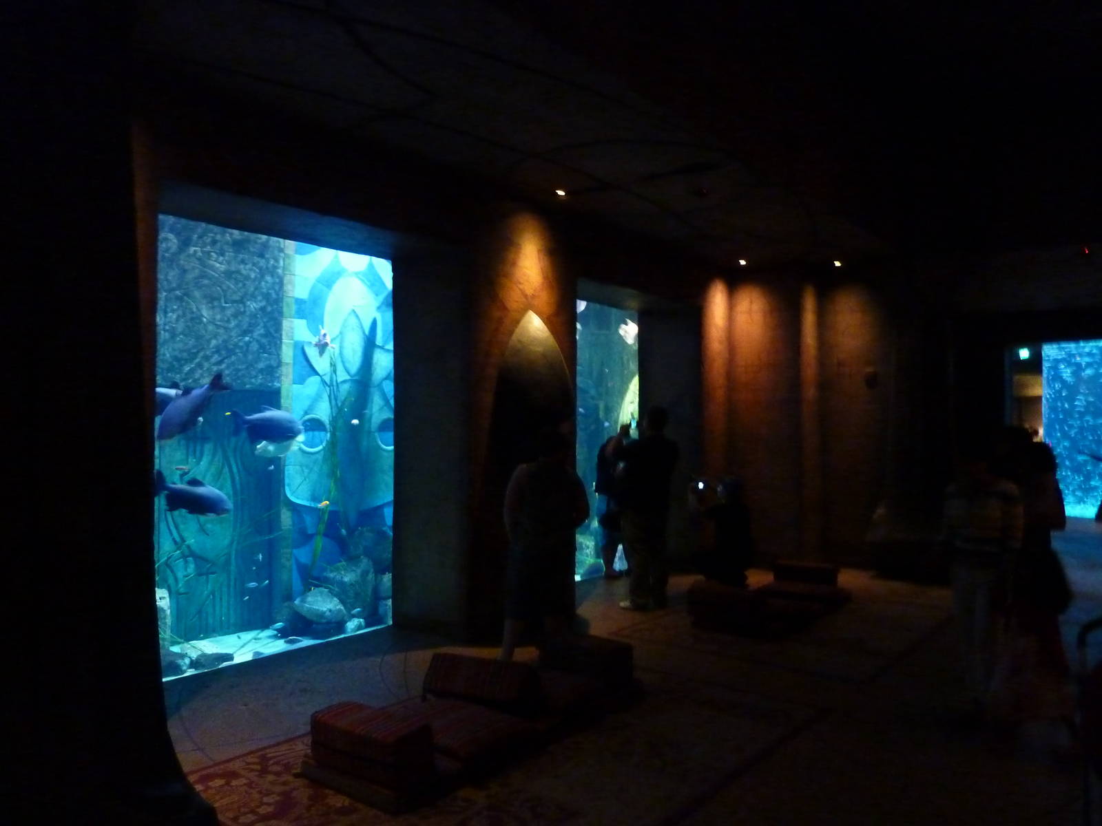 Large fish tank in Lost chambers
