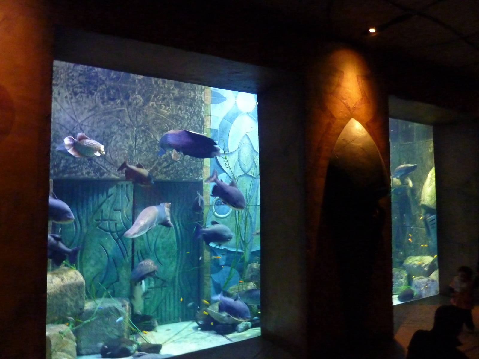 Large fish tank.
