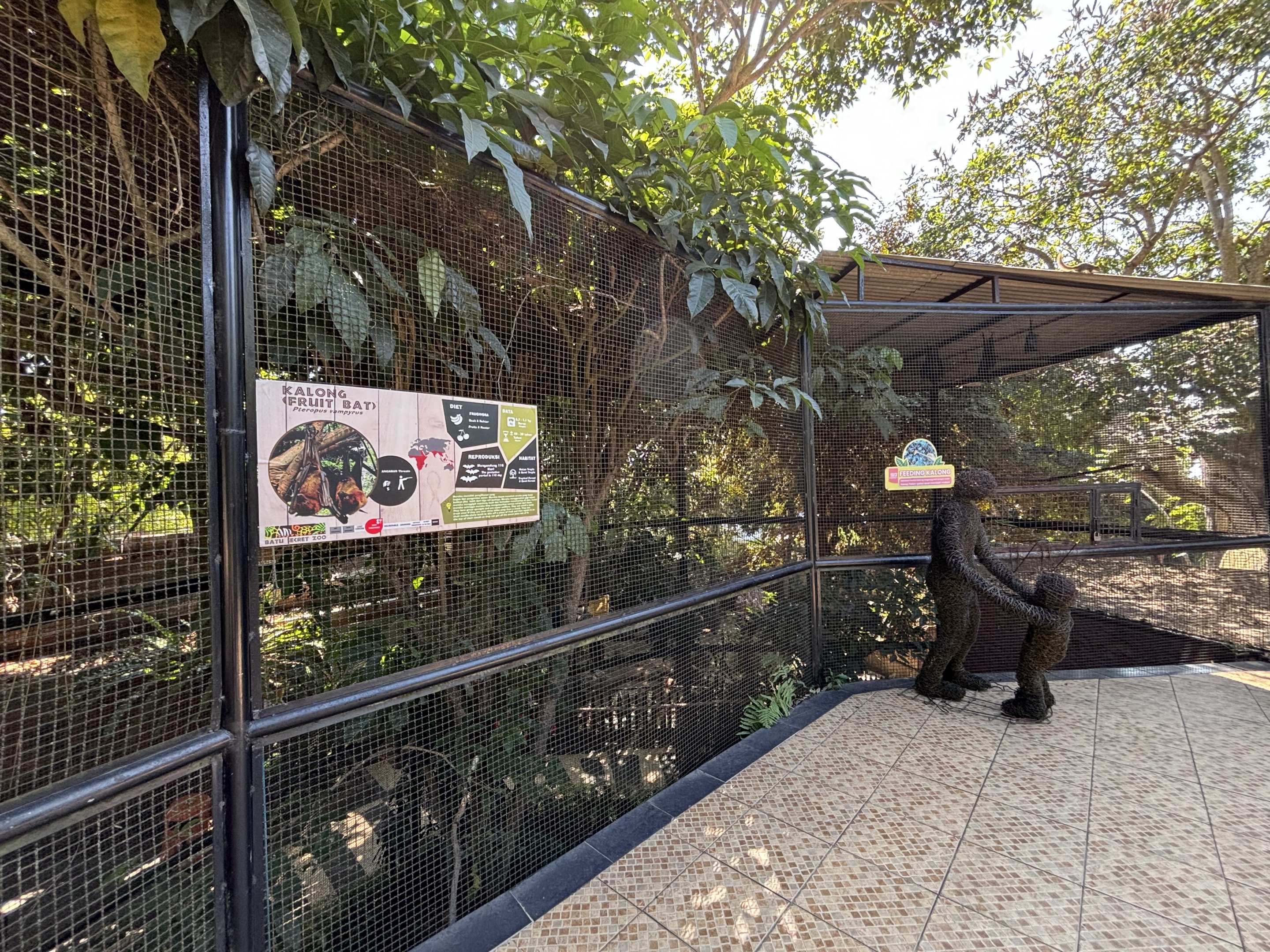 Large Flying Fox Exhibit