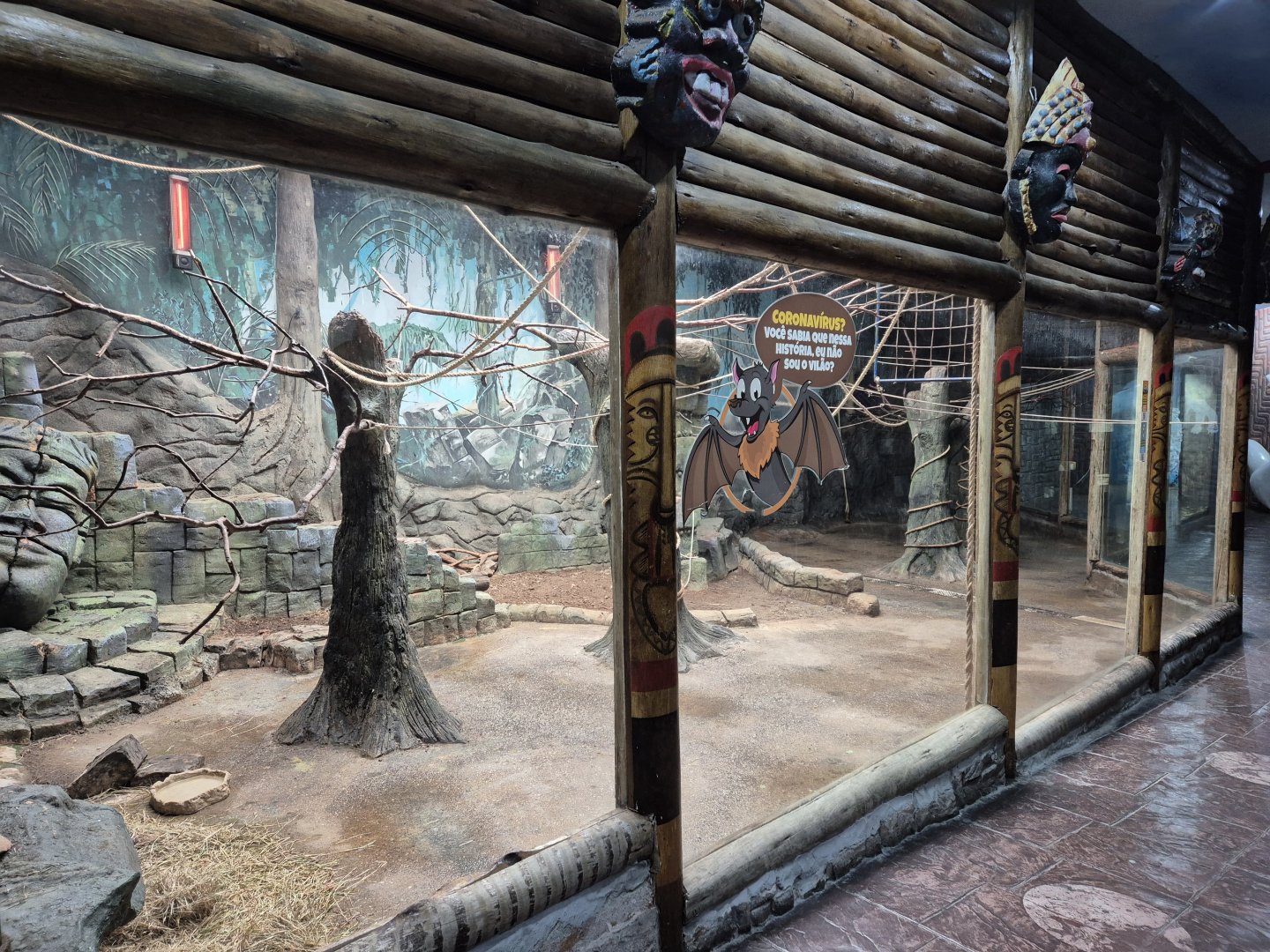 Large Flying Fox exhibit