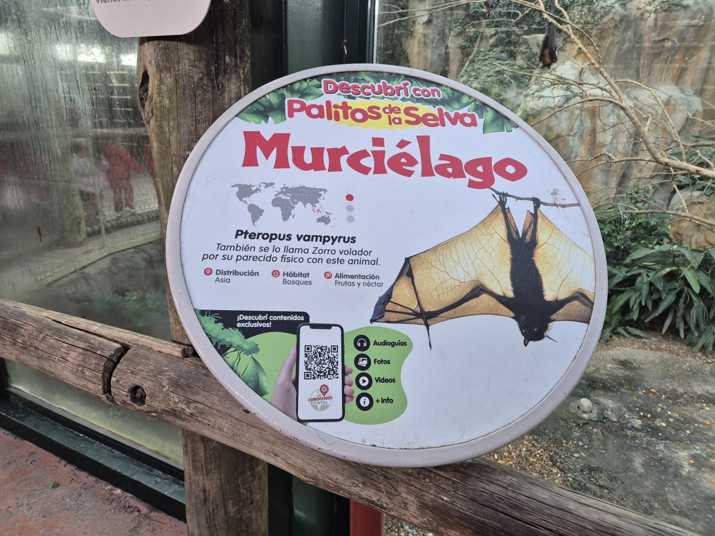 Large flying fox Sign