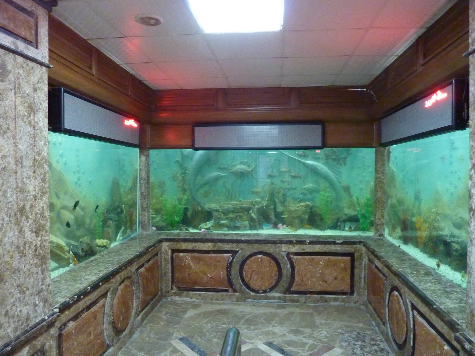 Large freshwater display