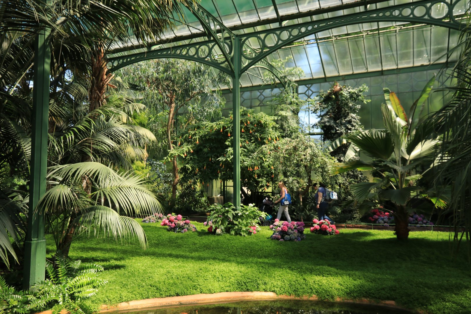 Large Glasshouse (May 2019)